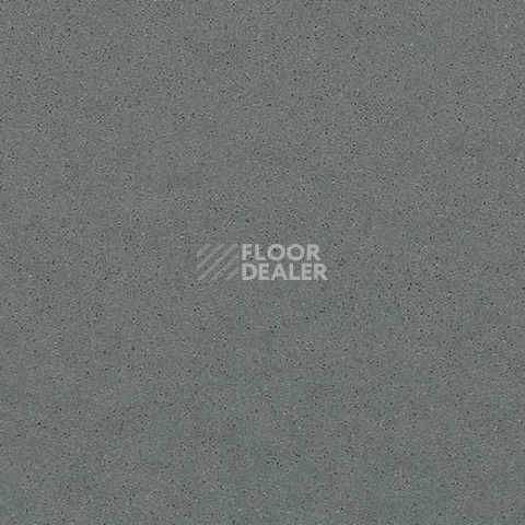 Линолеум Forbo SureStep Steel 177982 metallic carbon фото 1 | FLOORDEALER